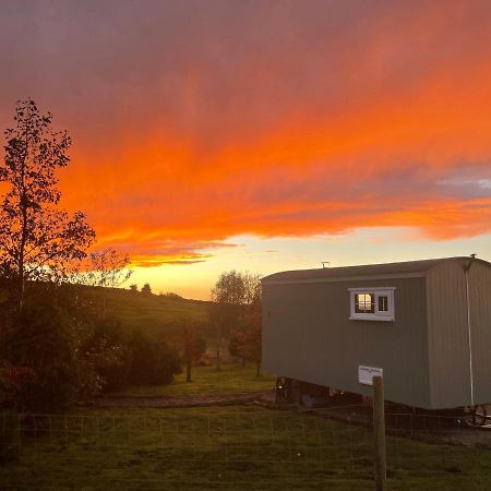The Buteland Stop Rosie Off Grid Shepherds Hut Bellingham Eksteriør bilde