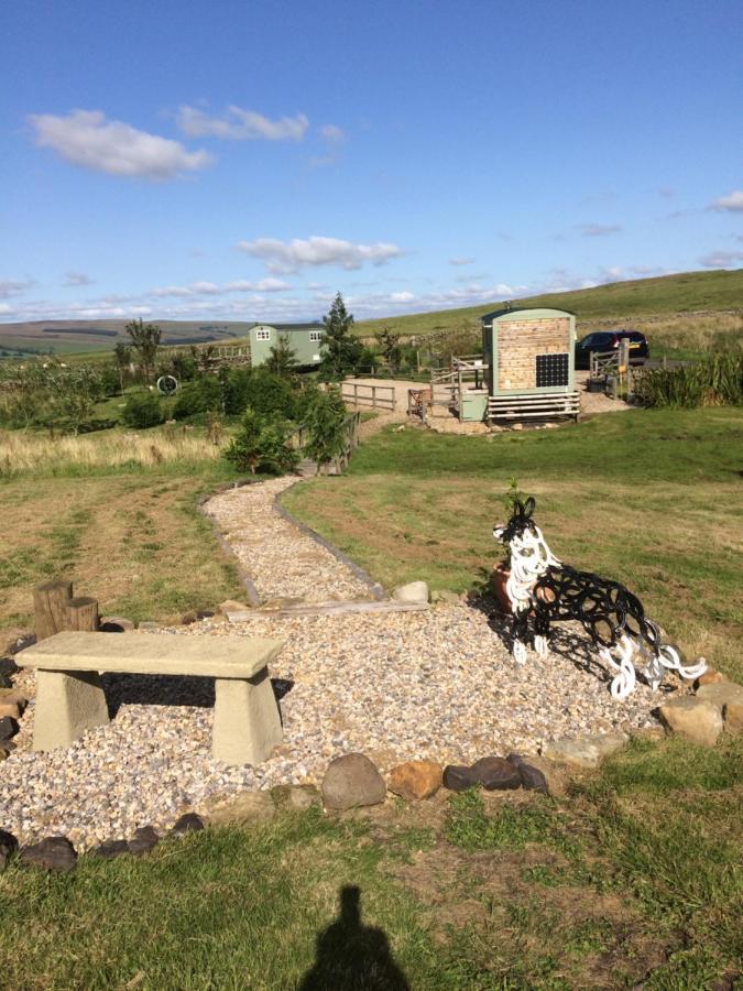 The Buteland Stop Rosie Off Grid Shepherds Hut Bellingham Eksteriør bilde