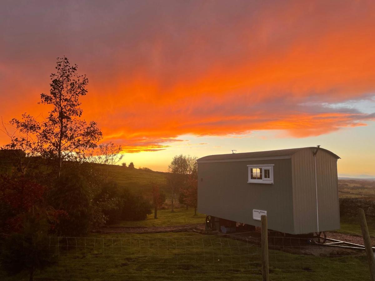 The Buteland Stop Rosie Off Grid Shepherds Hut Bellingham Eksteriør bilde