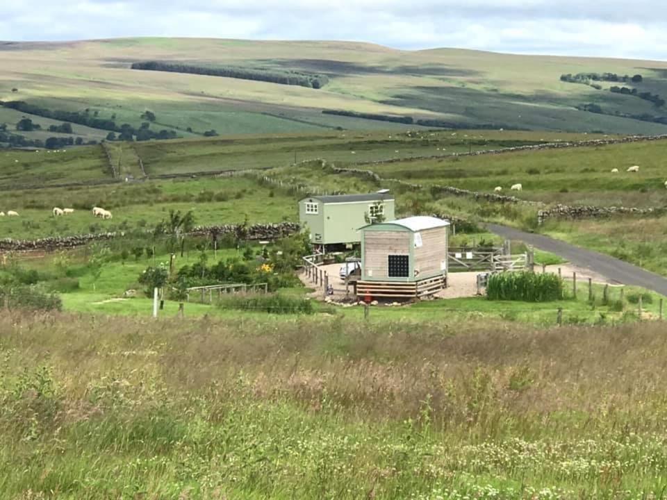 The Buteland Stop Rosie Off Grid Shepherds Hut Bellingham Eksteriør bilde