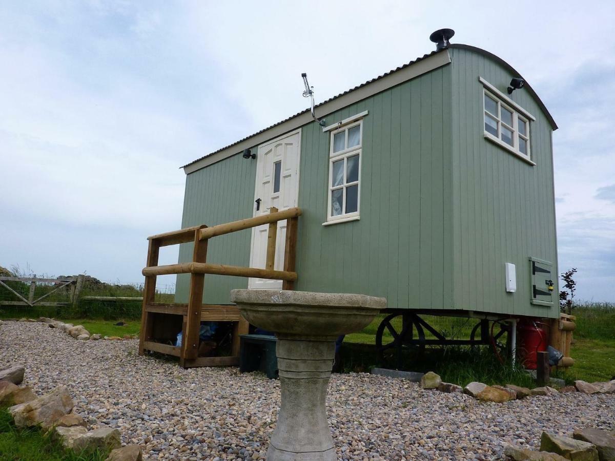 The Buteland Stop Rosie Off Grid Shepherds Hut Bellingham Eksteriør bilde