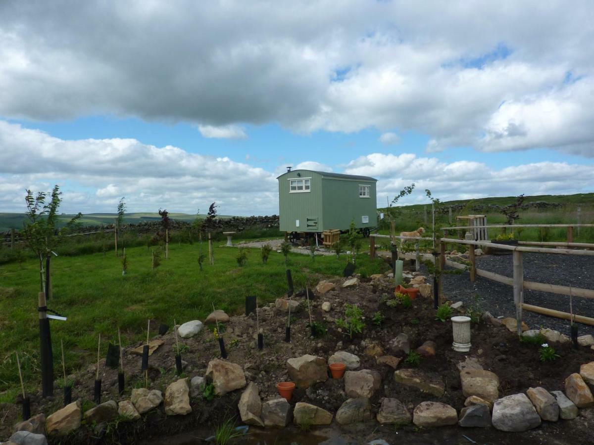 The Buteland Stop Rosie Off Grid Shepherds Hut Bellingham Eksteriør bilde