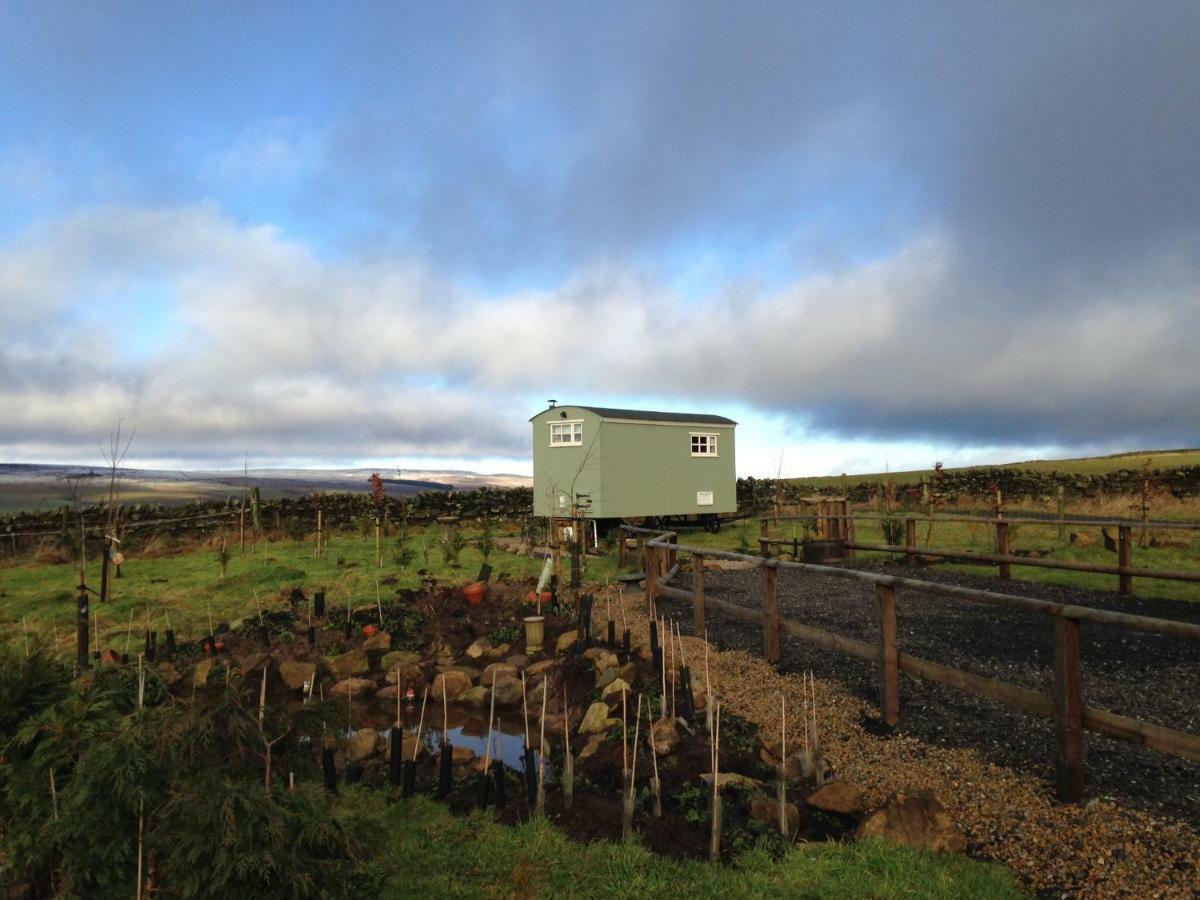 The Buteland Stop Rosie Off Grid Shepherds Hut Bellingham Eksteriør bilde
