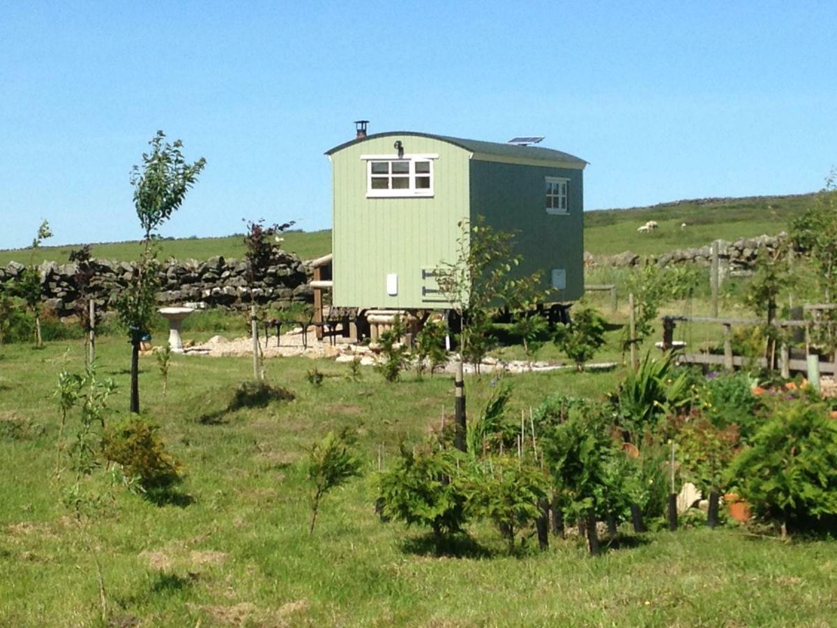 The Buteland Stop Rosie Off Grid Shepherds Hut Bellingham Eksteriør bilde