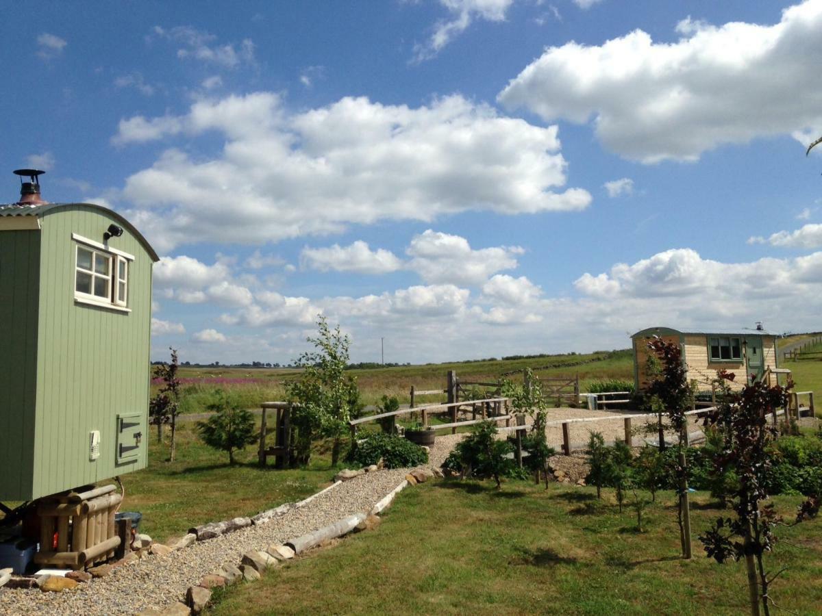 The Buteland Stop Rosie Off Grid Shepherds Hut Bellingham Eksteriør bilde